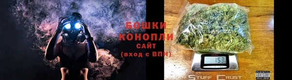ПСИЛОЦИБИНОВЫЕ ГРИБЫ Михайловка