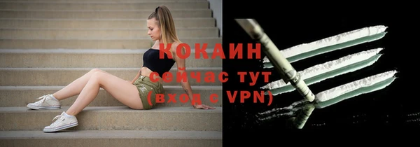 мдпв Бежецк