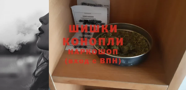 ПСИЛОЦИБИНОВЫЕ ГРИБЫ Михайловка