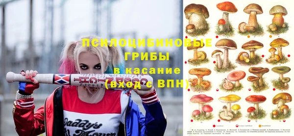 ПСИЛОЦИБИНОВЫЕ ГРИБЫ Михайловка