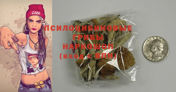 ПСИЛОЦИБИНОВЫЕ ГРИБЫ Михайловка
