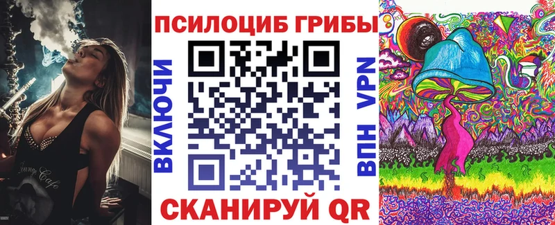 Галлюциногенные грибы Psilocybine cubensis  Балаково 