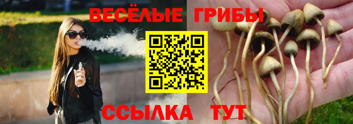 Псилоцибиновые грибы GOLDEN TEACHER Балаково