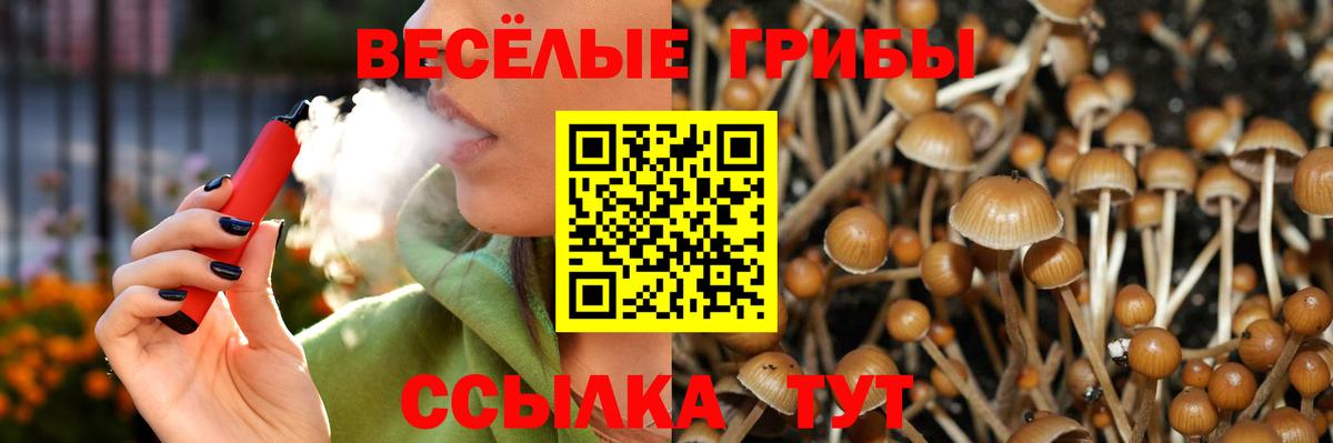 Галлюциногенные грибы MAGIC MUSHROOMS Балаково